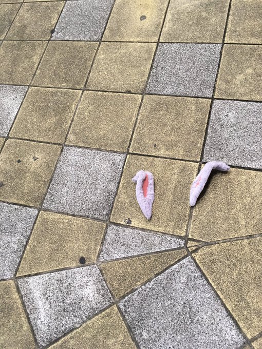 大阪の好きな所耳が落ちてる。 https://t.co/eBMHHnrY51