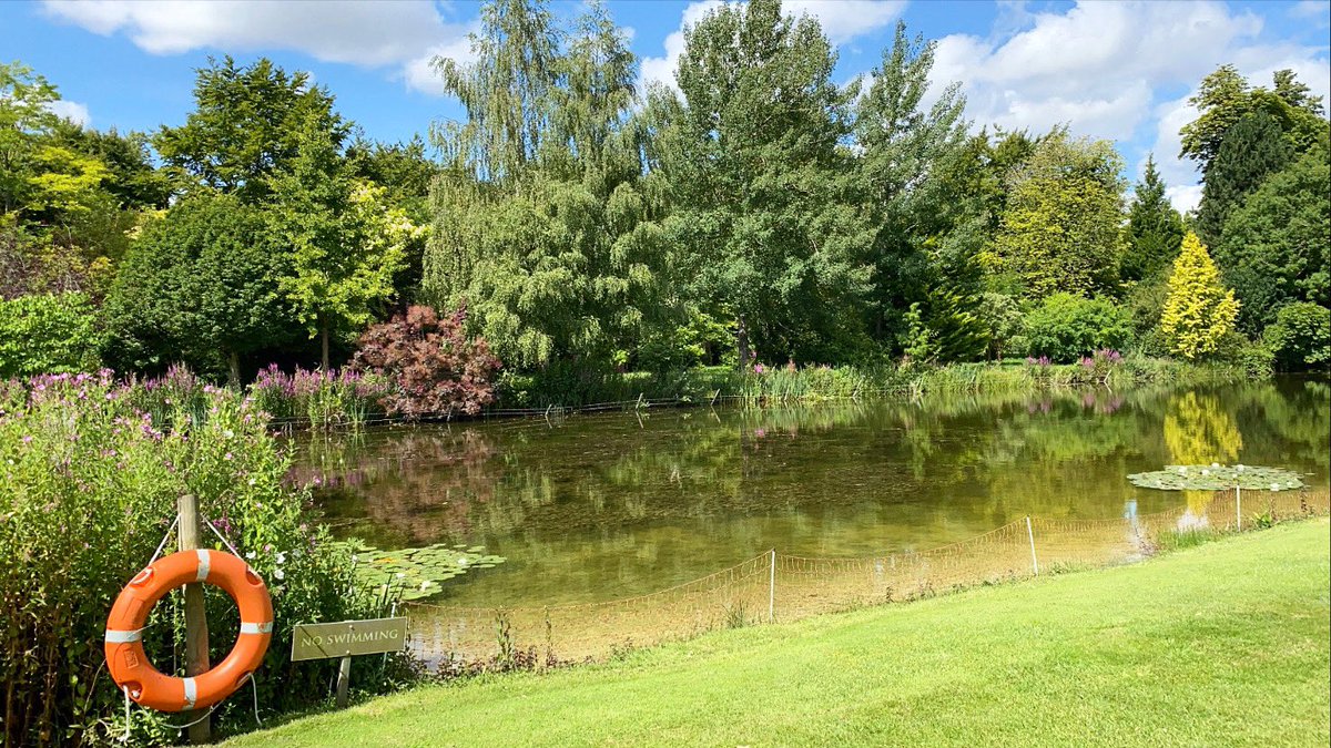 chippenhampark's tweet photo. It’s Friday and the sun is shining. Idyllic views from our lakeside marquee☀️
.
.
.
.
.
#weddingvenue #countrysidewedding #countrysideweddingvenue #lakesidemarquee #marqueewedding #awardwinningweddingvenue #awardwinninggardens #fridayfeels #chippenhampark #chippenhamparkwedding https://t.co/KCx1R6PLtj
