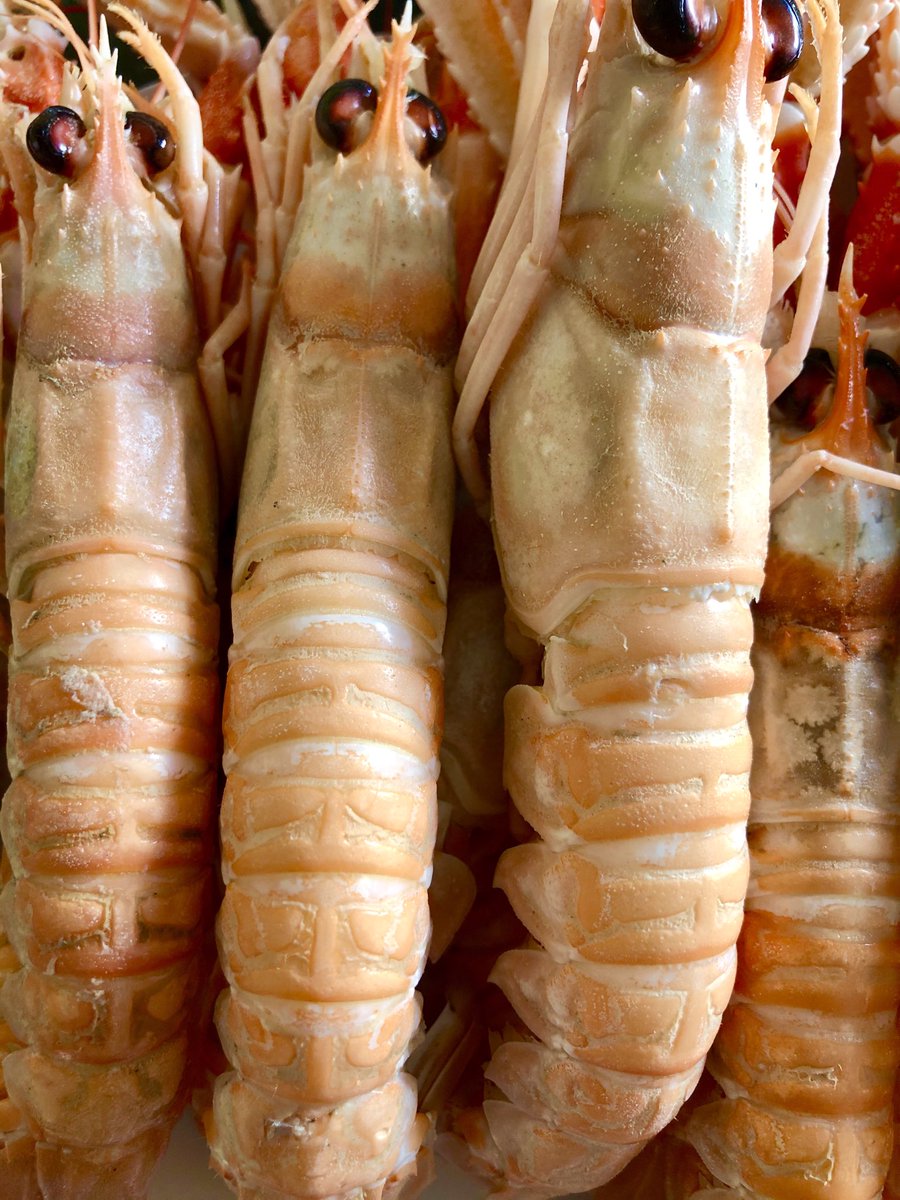 Tronner1970's tweet photo. Almuerzo marisquil. Galeras y gambas raras.
Dale ahí a ver como están de sal.
#galeras #cigalas #vinofresquito #siestaca https://t.co/yCCpmLyPpV
