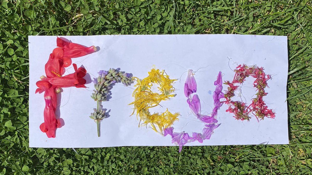 KellyMonk17's tweet photo. @ScrivenerMrs Freya has enjoyed the forest school activity 🌺 https://t.co/NIg7AoIyRe
