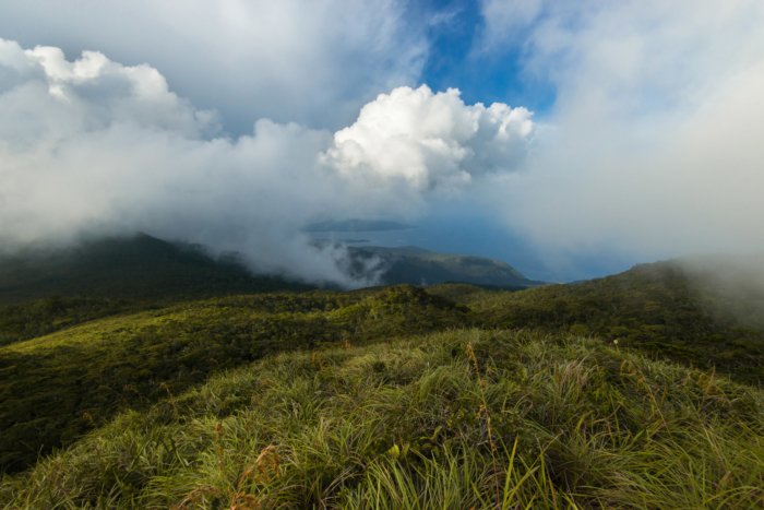 TourPromotionPh's tweet photo. Mount Hamiguitan Range Wildlife Sanctuary, Davao Oriental.
#PinasMuna #travel #wowph #choosephilippines #VisitPhilippines #itsmorefuninthephilippines https://t.co/bmPpiNXhXw
