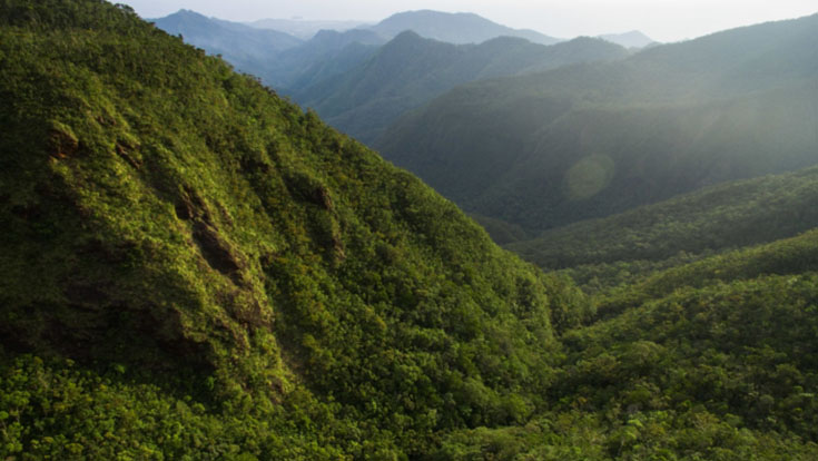 TourPromotionPh's tweet photo. Mount Hamiguitan Range Wildlife Sanctuary, Davao Oriental.
#PinasMuna #travel #wowph #choosephilippines #VisitPhilippines #itsmorefuninthephilippines https://t.co/bmPpiNXhXw