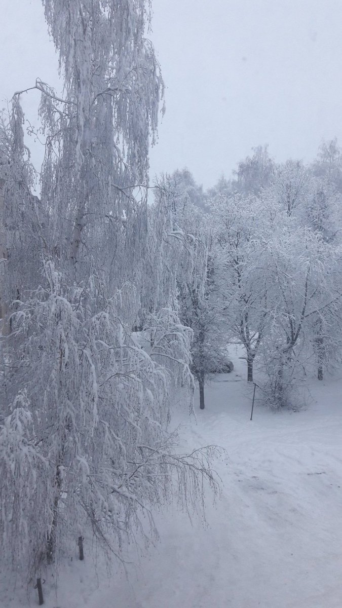 Совсем недавно, глядя из окна, мы восхищались красотой природы. Но как же хочется её спасти от ханжества настырного урода. Срубить безжалостно, в один момент! На красоту позарившись такую! Какую ж воспитаем молодежь? Какую же привьем мы ей "культуру"?
