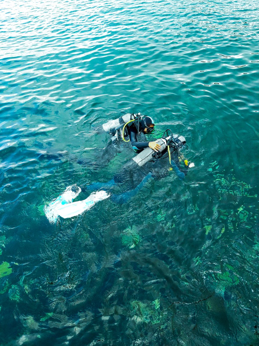 atomarpormundo's tweet photo. ¡Qué mañana más productiva y buena hemos pasado! Hemos descubierto 'otra' Gibraltar, una Gibraltar bajo el agua. Los blogueros han disfrutado de su bautismo como niños con #DiveCharters en el marco del #GibraltarExperience2020 https://t.co/ui7gpR1KSZ