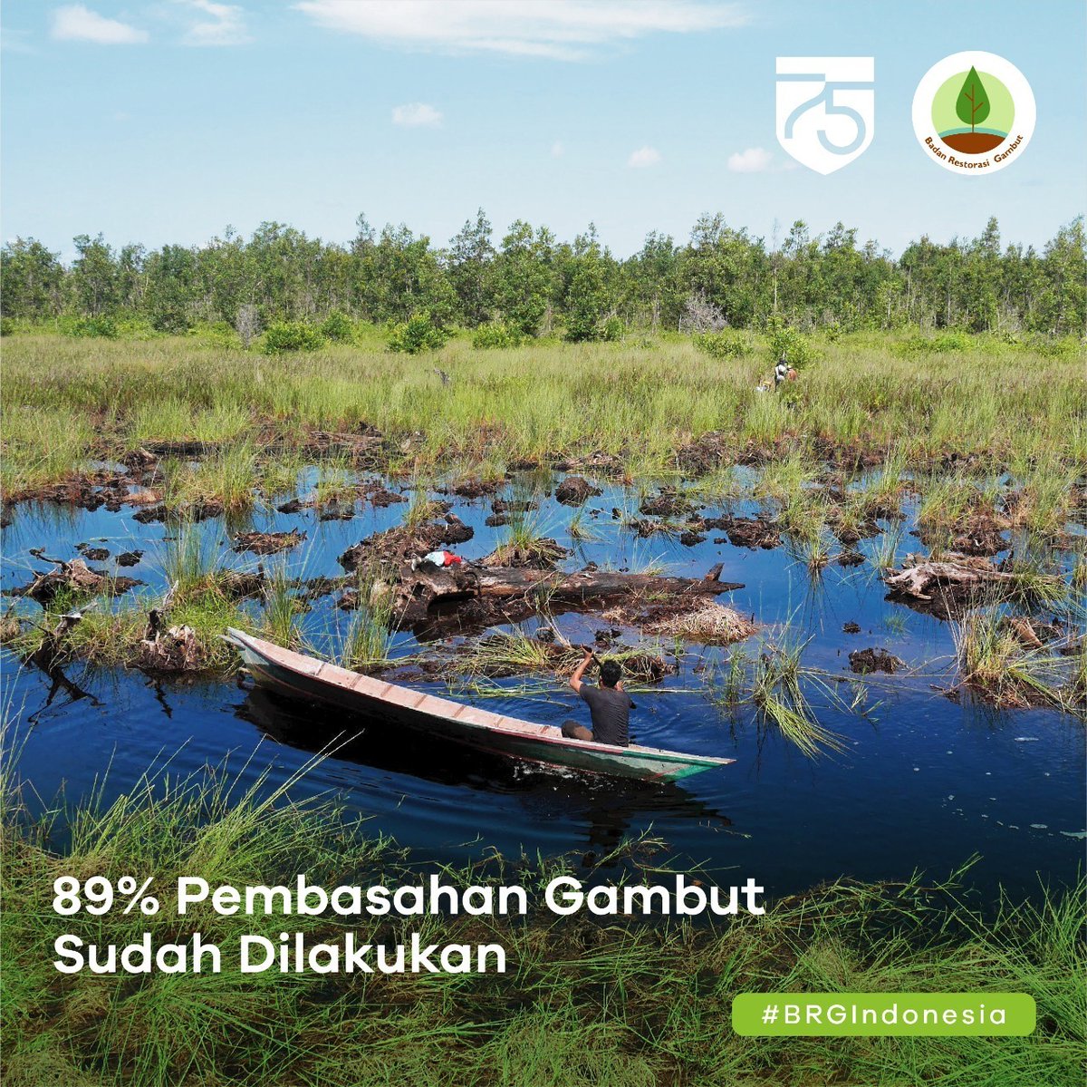 BRGM_Indonesia's tweet photo. #BRGIndonesia adl lembaga non struktural yg dibentuk oleh Presiden berdasarkan Perpres no 1 th 2016 yg memiliki tugas &amp; fungsi untuk memfasilitasi &amp; mengkoordinasi restorasi gambut di 7 provinsi dengan luasan target 2,67 juta juta hektare (ha).

#AyoJagaGambut #gambut #Indonesia https://t.co/9GL59hhNHD