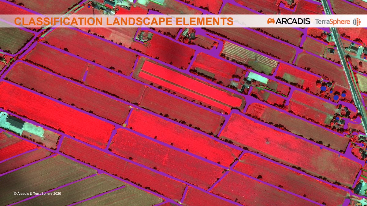 Landscape elements like hedgerows play an important role in #biodiversity preservation and #carbon sequestration. <a href="/Terra_Sphere/">TerraSphere</a>  and @arcadisnl have developed an automated mapping tool using #AI on #satellite and aerial imagery for the #Netherlands. 

spaceoffice.nl/en/news/383/sa…