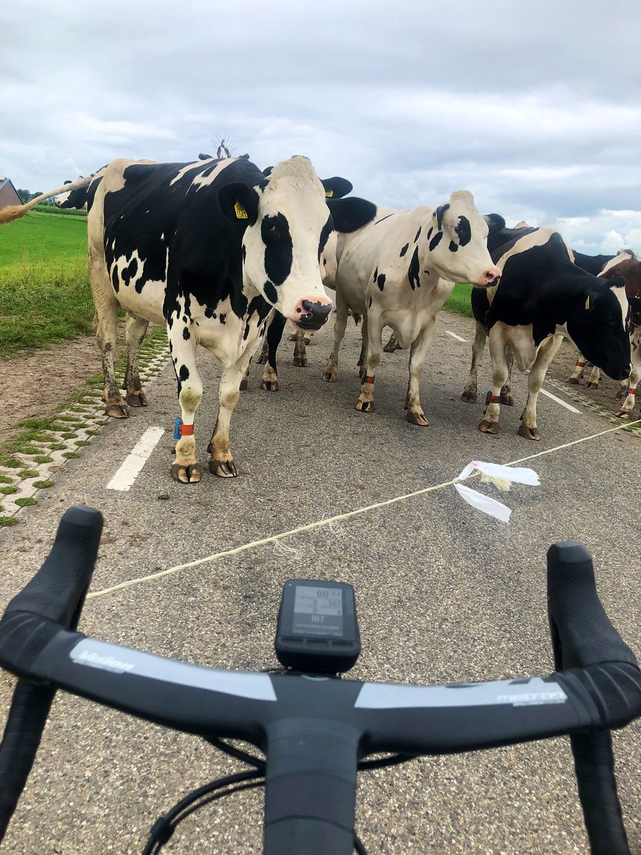 Neem de tijd dames... Ik sta hier prima, heus.