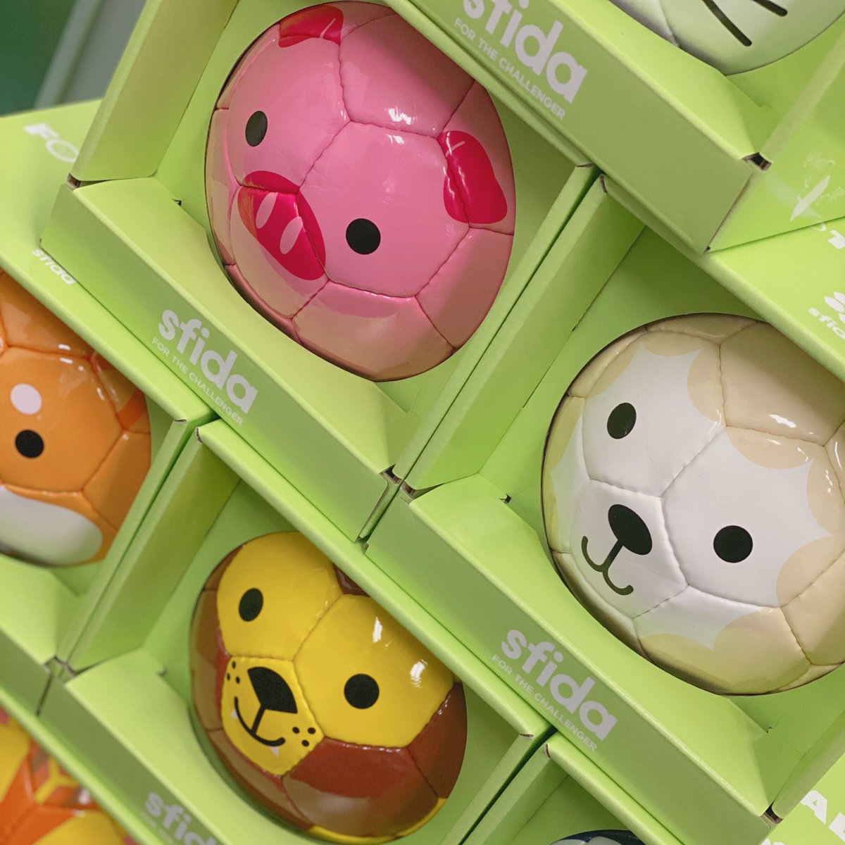 Sfida على تويتر Footbal Zoo にこっと笑ったキュートな表情はもちろん おしりにはしっぽやイラストがデザインされた遊び心溢れる動物柄ミニサッカーボール 専用boxもついているのでギフトにもおすすめです T Co Pzhy9gfks4 Footballzoo Sfida على تويتر Footbal Zoo にこっと笑ったキュートな表情はもちろん おしりにはしっぽやイラストがデザインされた遊び心溢れる動物柄ミニサッカーボール 専用boxもついているのでギフトにもおすすめです T Co Pzhy9gfks4 Footballzoo