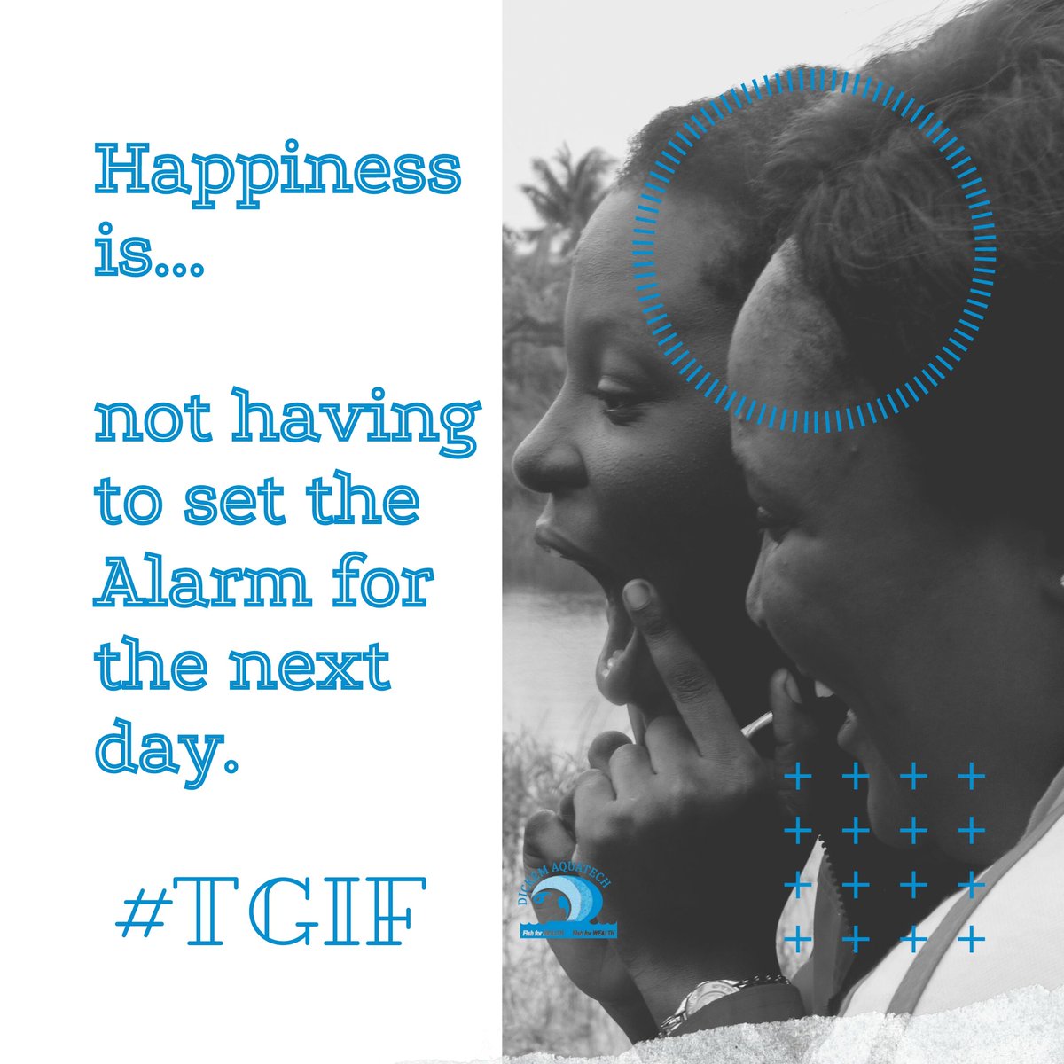 DickemFarms's tweet photo. May your weekend be filled with positive thoughts, kind people and happy moments.

#TGIF #WeFarmYouEarn #NextLevelAgro #NextLevelAgrotech https://t.co/dhqQgFqRnX