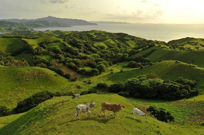 TourPromotionPh's tweet photo. Vayang Rolling Hills, Basco, Batanes.
#PinasMuna #travel #wowph #choosephilippines #VisitPhilippines #itsmorefuninthephilippines https://t.co/pWrDSnyOxM