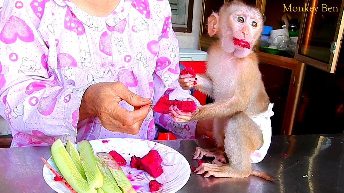 MonkeyBen3 tweet picture