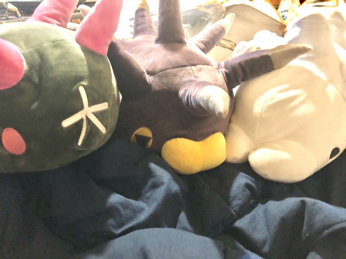 ダイエクスト Dai Xt En Twitter 届いたー ユキハミ バチンウニ ナマコブシ 可愛いーー