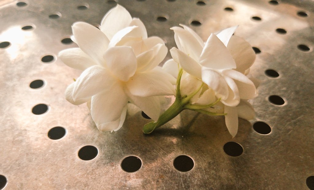 KrupaliKapdi's tweet photo. 🥰
#Flowers 
#photography 
#phoyography_love https://t.co/vkxVXweMiE