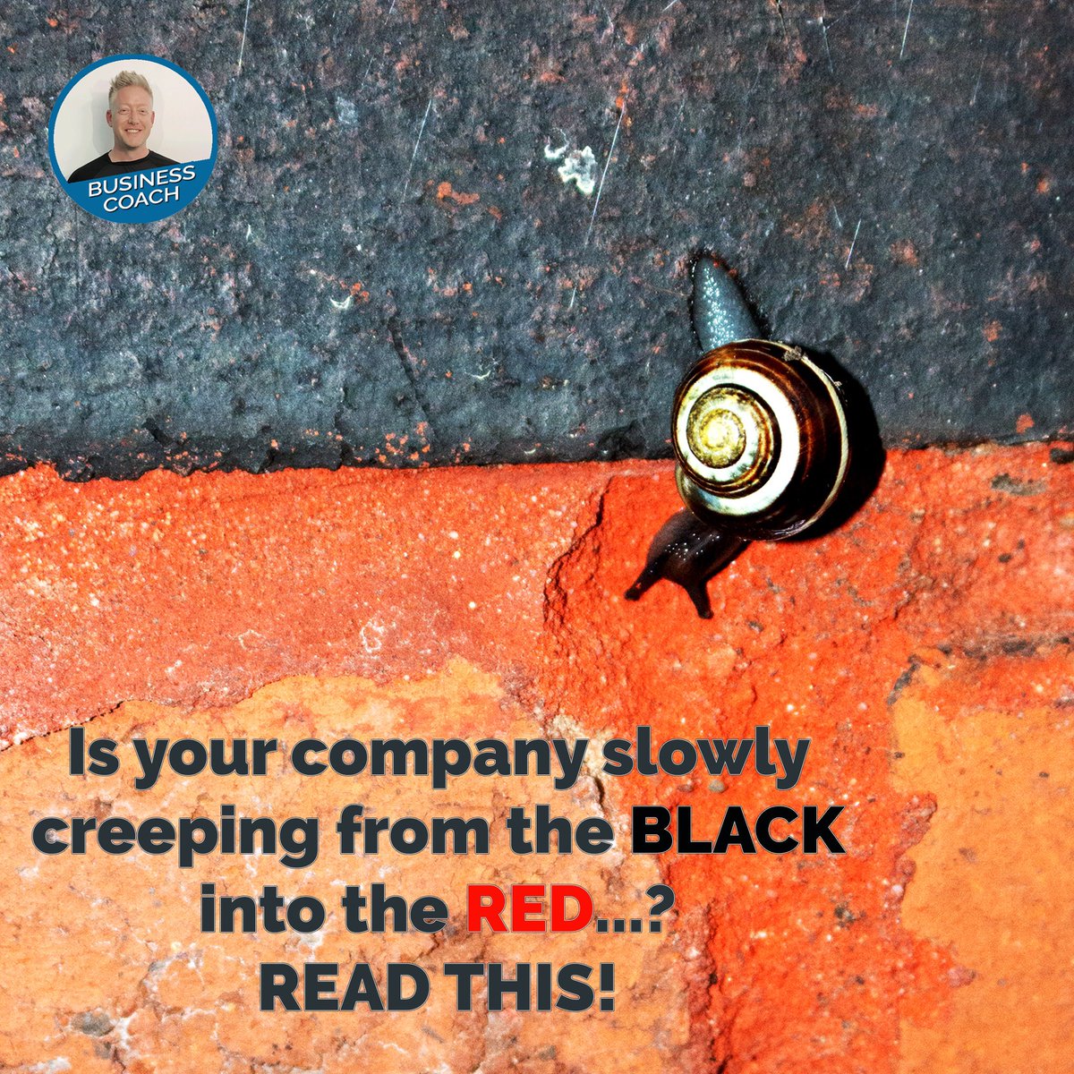 Jake Rostron tweet media