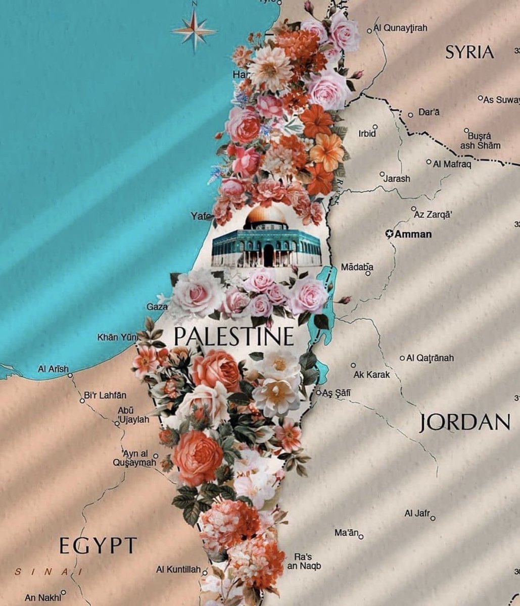 adelhebrahim's tweet photo. ستبقين كما نراكِ دائماً
خضراء، مشرقةٌ رغم غروبك

ستبقين كما نردد دائماً
أمي فلسطينُ لا تأسي ولا تهني https://t.co/CiPmM7hX9m