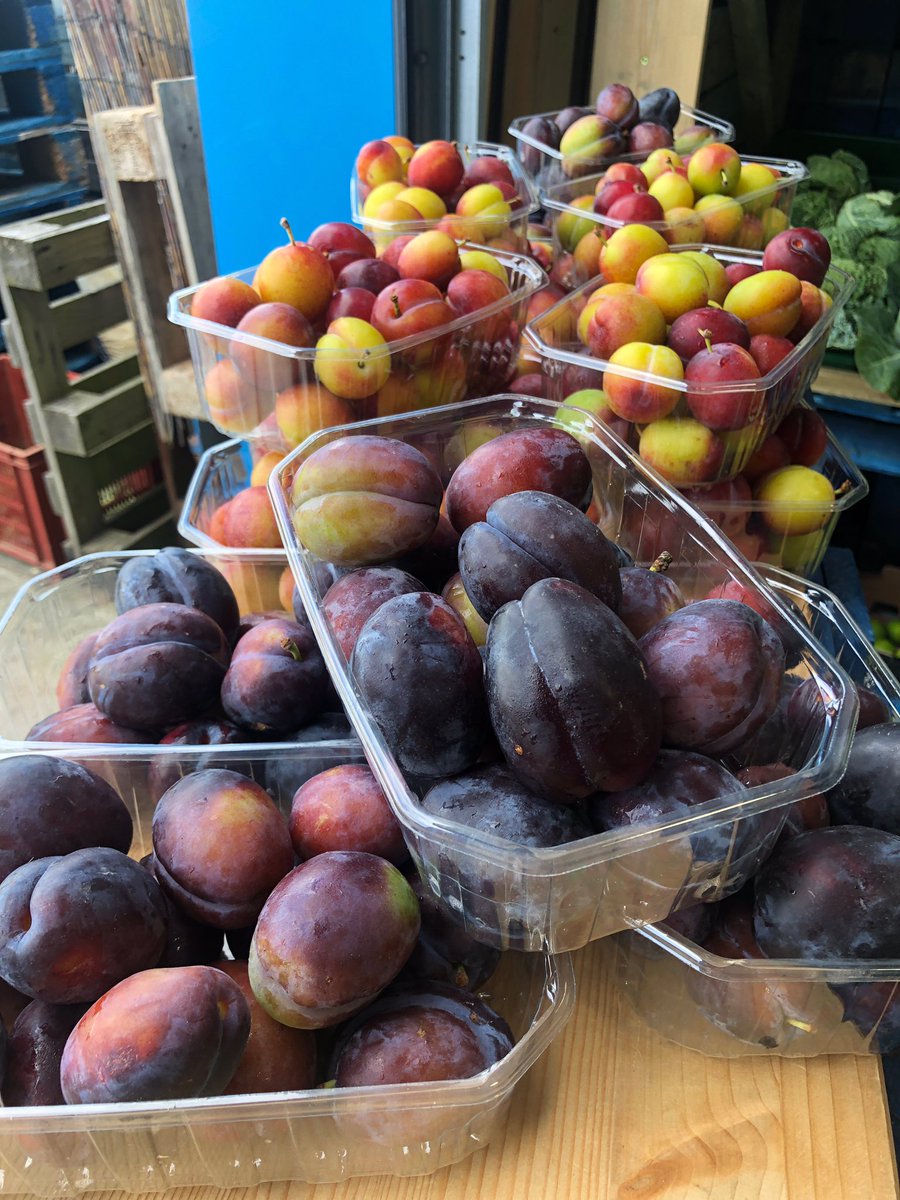 Oh my gosh 😃 had to share these with you............ Local plums are in 🎉🎉🎉🎉