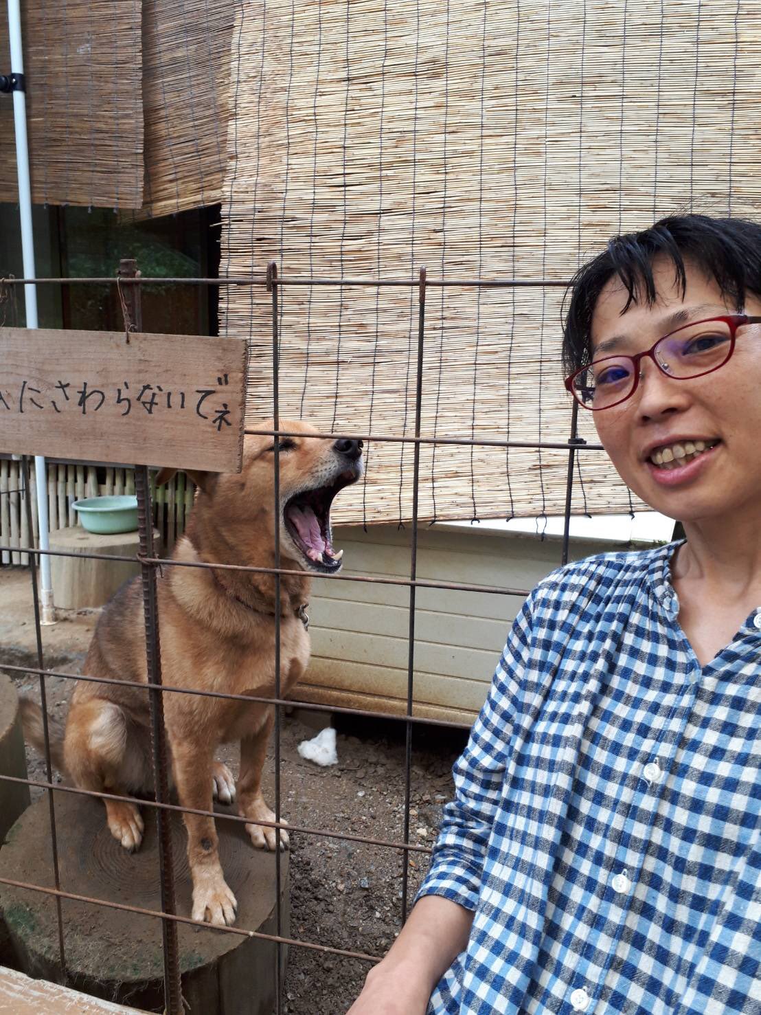 まっちゃん なごみ創作家 今日は久しぶりにお寺に行って来ました 毎月17日は観音様のご縁日があって お参りさんたちが来るんですよ オサムも忘れてなかったわー 泣 音羽山観音寺 番犬オサム 元お手伝いのまっちゃん