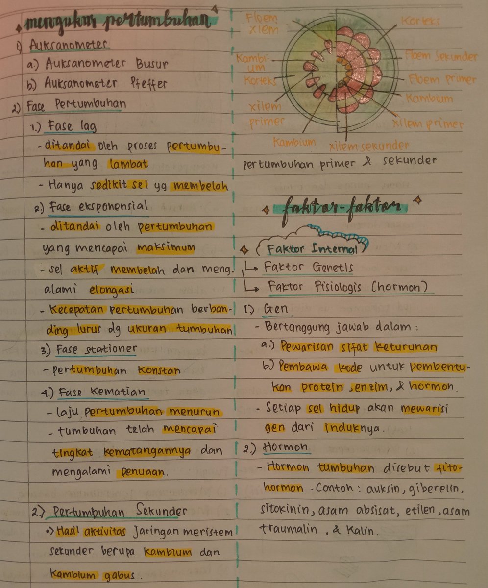 fortunxdaisy's tweet photo. Halo! Aku mau sharing catatan biologi kelas 12 materi ✨Pertumbuhan dan Perkembangan Tumbuhan✨ sumbernya dari guru sekolahku ya guys🌻 semangat semuanyaaa ❤️ thankyou🌼 (kata kunci/poin aku highlight) https://t.co/DzvedWDujs