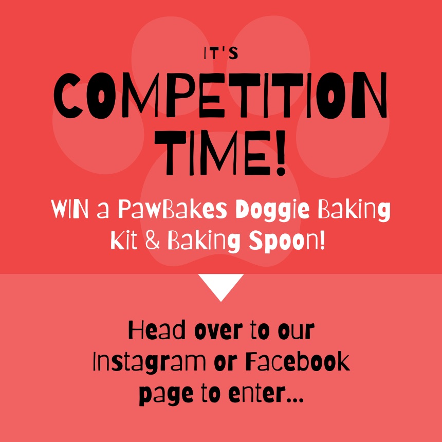 It’s competition time! 😝
For your chance to WIN a PawBakes Doggie Baking Kit &amp; Baking Spoon, head over to our Facebook or Instagram page and simply follow the steps on our latest post 👨‍🍳. Good luck! #BakingCompetition #PawBakes