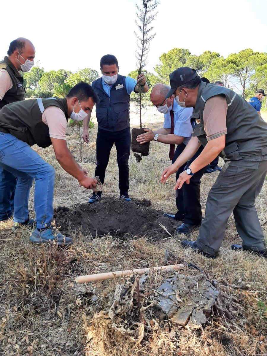 antalyaobm's tweet photo. Serik OİM’de 15 Temmuz Demokrasi ve Milli Birlik Günü Dolayısıyla Fidan Dikim Etkinliği Düzenlendi
https://t.co/htOtPJrC6N https://t.co/NR96gxrgsc