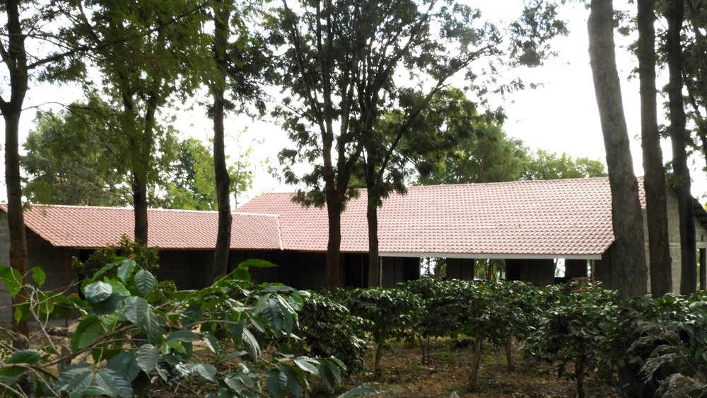 KiboGarden's tweet photo. @KiboGarden had its first birthday party with tantalizing cakes from Rima Cakes after re-opening. It can host meetings&amp;events of up to 30 people while meeting the MOH Covid19 rules. A hall for up to100 people will be ready for use soon #eventplanning,@loitokitok, @KajiadoGov https://t.co/XvWiVY7uhh