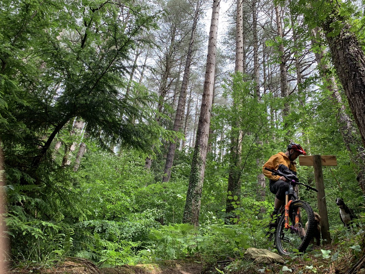KingudProducts's tweet photo. Who’s keen to escape to the woods this weekend? https://t.co/GybBJCEhWh