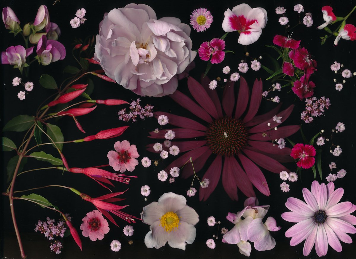 Kate Gold tweet media