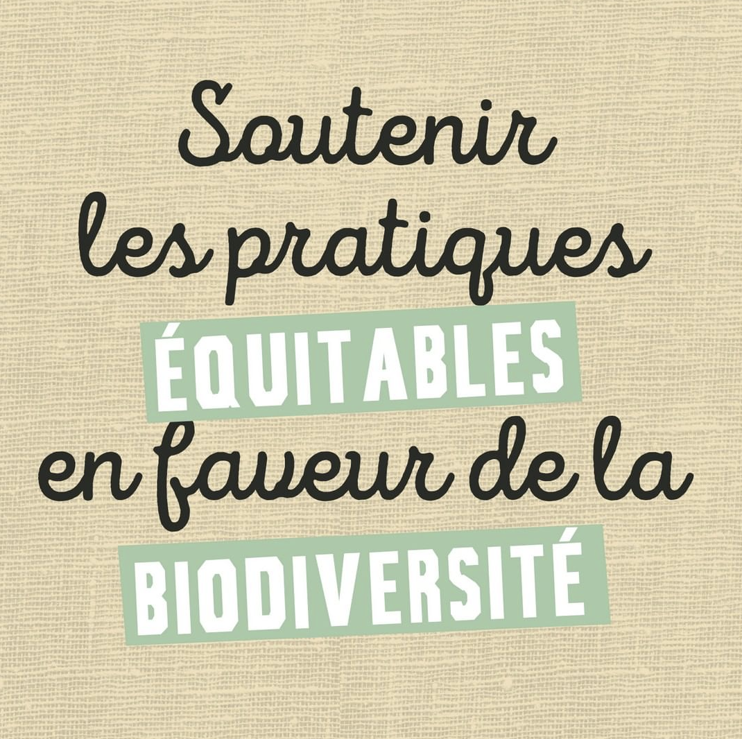 AutourduRiz's tweet photo. Engagés auprès de 1814 exploitations familiales, nous favorisons les pratiques équitables avec les petits producteurs. 🤝😃🌱 https://t.co/lNXpBjVXVk
