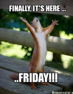 CartersCollecta's tweet photo. #FridayMotivation
#SemiShielding
4 lots acquired Weds! ๐
Priorities:
#Parcels2Pack
WindowWizard (nothing to do with puter!)
Theme: #Tobacciana (other uses!)
Stuck for #GiftIdeas?
Check out #Antique / #Vintage / #Collectables website for inspiration
https://t.co/NPLKhy4hIL https://t.co/zKinxnXmm9