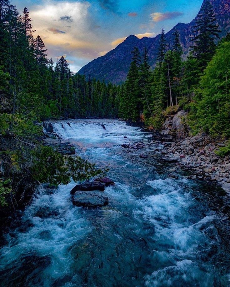 TouristEpic's tweet photo. #glaciernationalpark #usa #travel #epictouristspots #usatravel #usatrip #traveldestination #travelawesome #travelusa #travelplans #tavelguide #travelgoals #travelinfluencer #usatourism #montana #montanatravel #glaciernationalparkmontana #amazingplaces #travelphotography https://t.co/kWmxJersAK