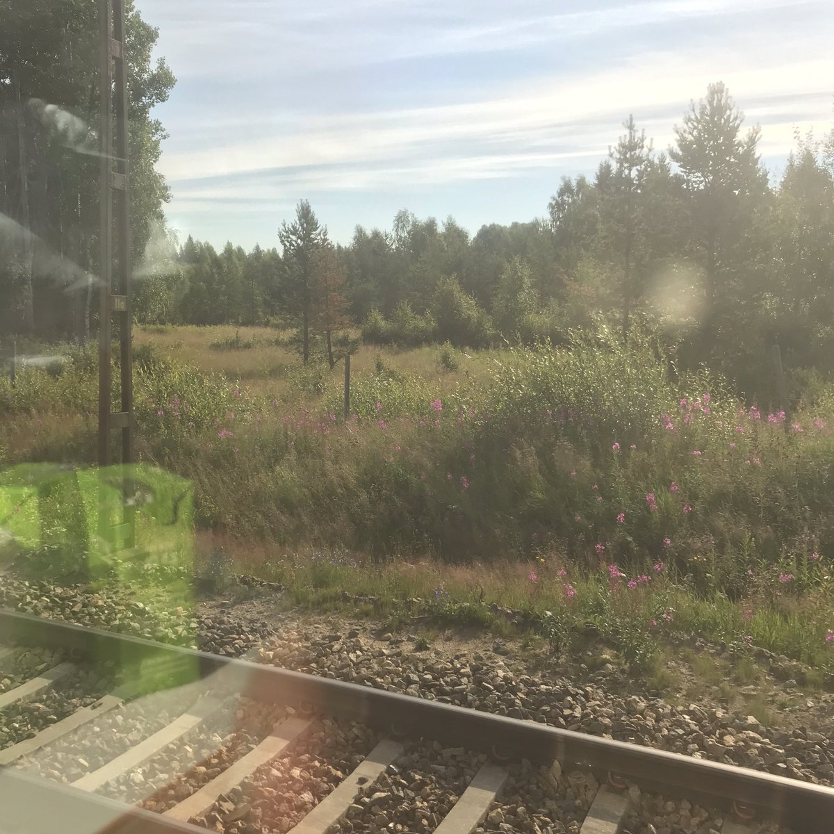 Anna Karin Sjöblom tweet media