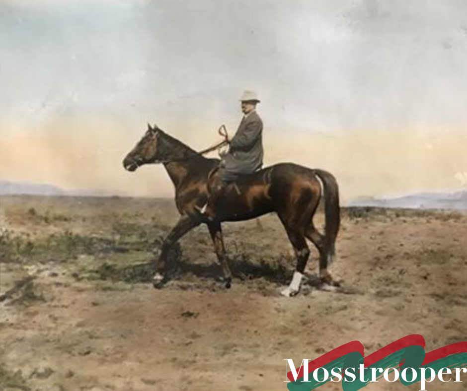 AusJumpsRacing's tweet photo. Ahead of the 2020 Mosstrooper Steeplechase tomorrow, we spoke to the great-granddaughter of Mr R. Turnbull (flat racing owner) about what Mosstrooper was like before his jumps career.
Read the article: https://t.co/07BEVufRGn
#mosstrooper #jumpsracing #howgoodisjumpsracing https://t.co/hKYR4jgL4n