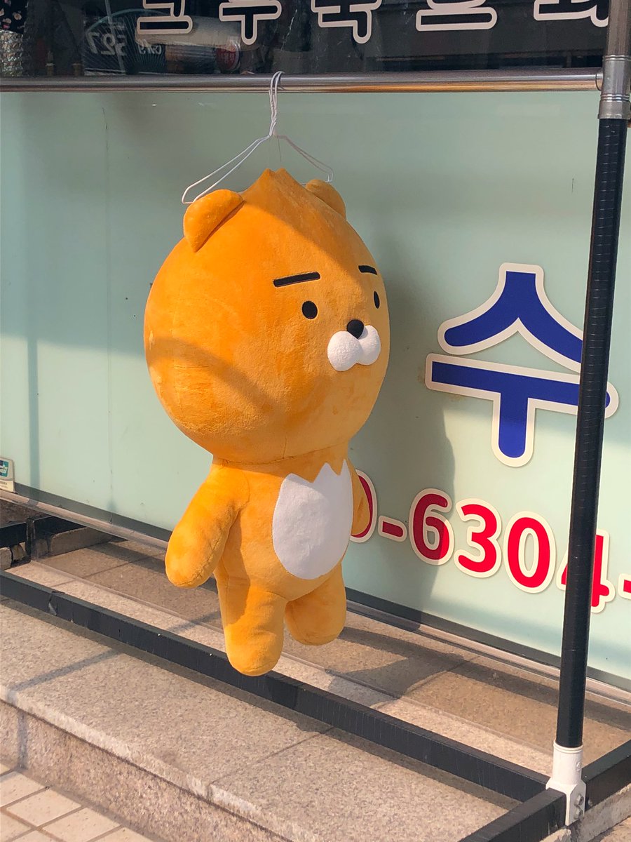 awall_moonlight's tweet photo. 동네 세탁소 앞에서 너무나 독보적인 위용의 단독세탁물 발견!!! https://t.co/ov9CEBlT6X