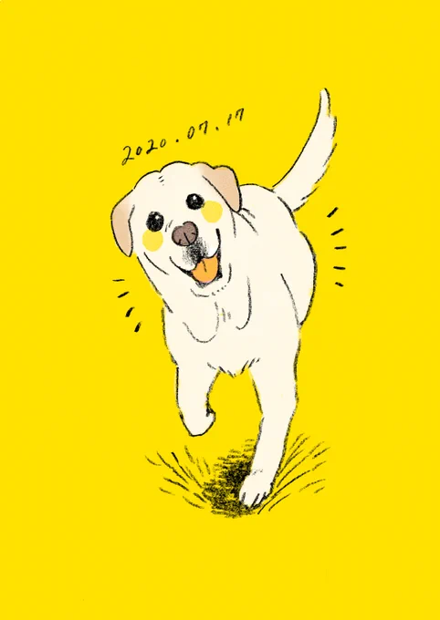 早いもので今日はウッちゃんの一周忌です。
こちらは皆元気だから安心してね!? 