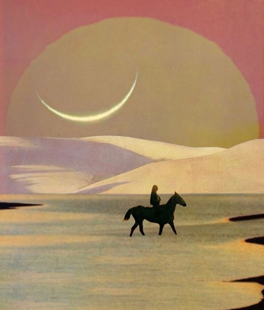 Kanoa Living tweet media