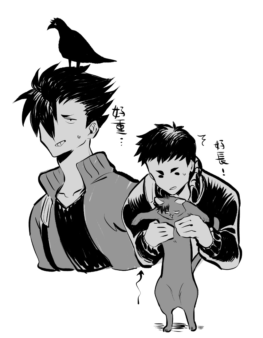 HQ_黒大LOG 