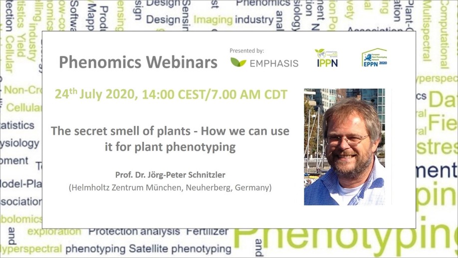 I_P_P_N's tweet photo. Next on The Phenomics Webinars:

Prof. Dr. Joerg-Peter Schnitzler (Helmholtz Center Munic)

"The secret smell of plants - How we can use it for plant phenotyping"

July 24th  2020 / Time: 14:00   (Berlin Time) /  7.00 AM (CDT)

https://t.co/IyGyrzV0oT https://t.co/k40pe60lcw