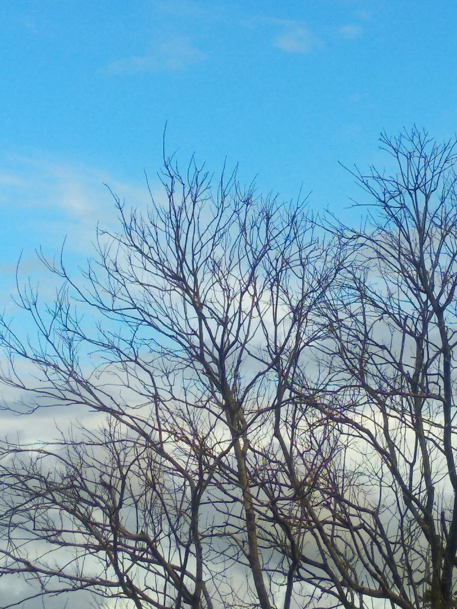 DameshwariM's tweet photo. Beautiful nature https://t.co/mJIfGiTIBW