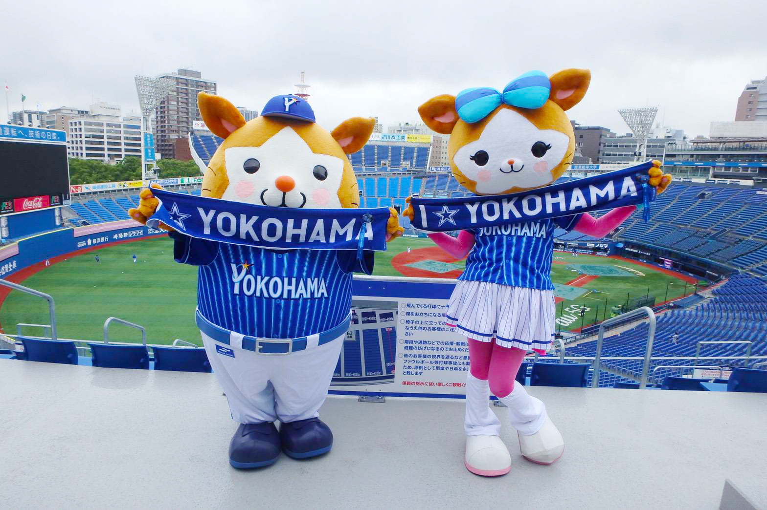 横浜DeNAベイスターズ on X: 