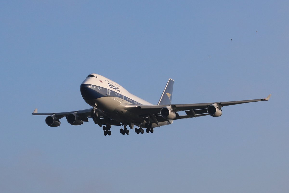 adrianjames36's tweet photo. @scottiebateman Into LHR the iconic 747 queen of our skies R.I.P https://t.co/nc6O6Kpaor