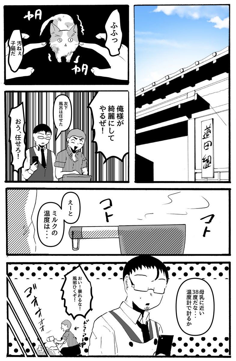 初めての子猫ちゃん 