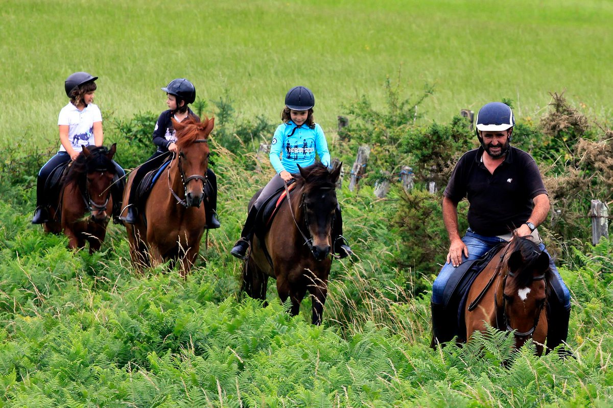 Baztan_Bidasoa's tweet photo. #Plan en @Baztan_Bidasoa ¡Dime tú a mí si hay algo más relajante que un #paseo a #caballo! #Hípica #Ordoki #Zalditegia #Arizkun #Baztan #VisitasGuiadas
@Baztan_Bidasoa zaldi gainean #OrdokiZalditegia
https://t.co/lOTeebJQhG https://t.co/seBOmTfxci