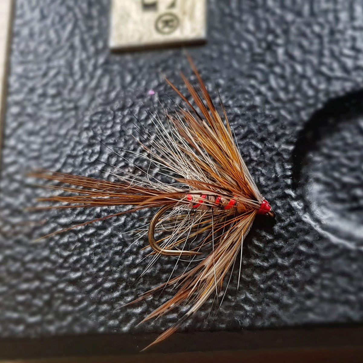 mccoy007_coy's tweet photo. #mayfly #irishflies #wildbrowntrout #loughcorrib #loughmask #cpr #loughsheelin #dappania https://t.co/fjKvup4HsK