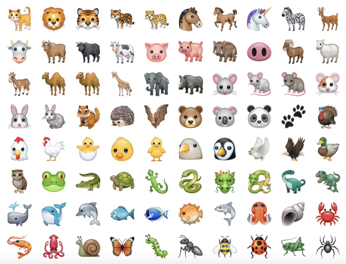 World Association Zoos & Aquariums tweet media