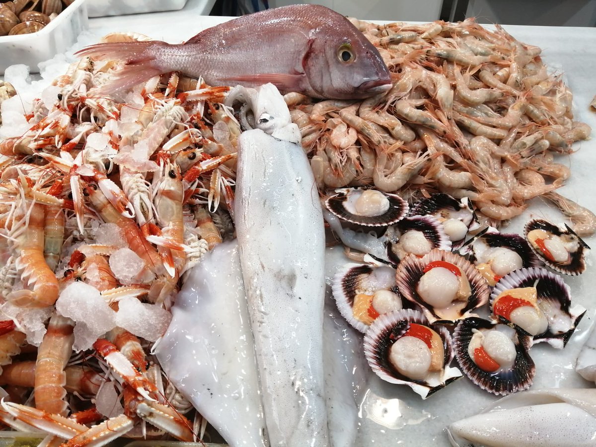 PescadosJacobo's tweet photo. 🦐🦑🐙🐟🐟🦞🦐🦀🦑
Compartimos fotos del surtido de hoy.
#Jurelitos #Brecas #Sardinas #Gambas #calamar https://t.co/aLjqLicTbj