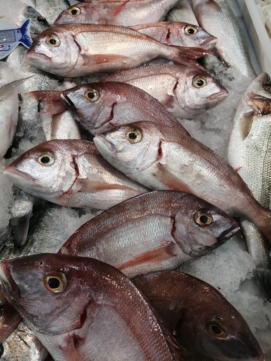 PescadosJacobo's tweet photo. 🦐🦑🐙🐟🐟🦞🦐🦀🦑
Compartimos fotos del surtido de hoy.
#Jurelitos #Brecas #Sardinas #Gambas #calamar https://t.co/aLjqLicTbj