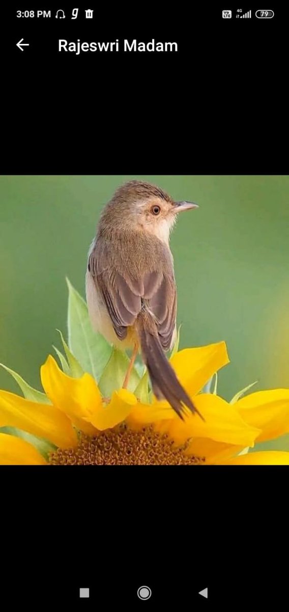 BManjun00637781's tweet photo. Peace movements. https://t.co/r4Q2gqjP1n