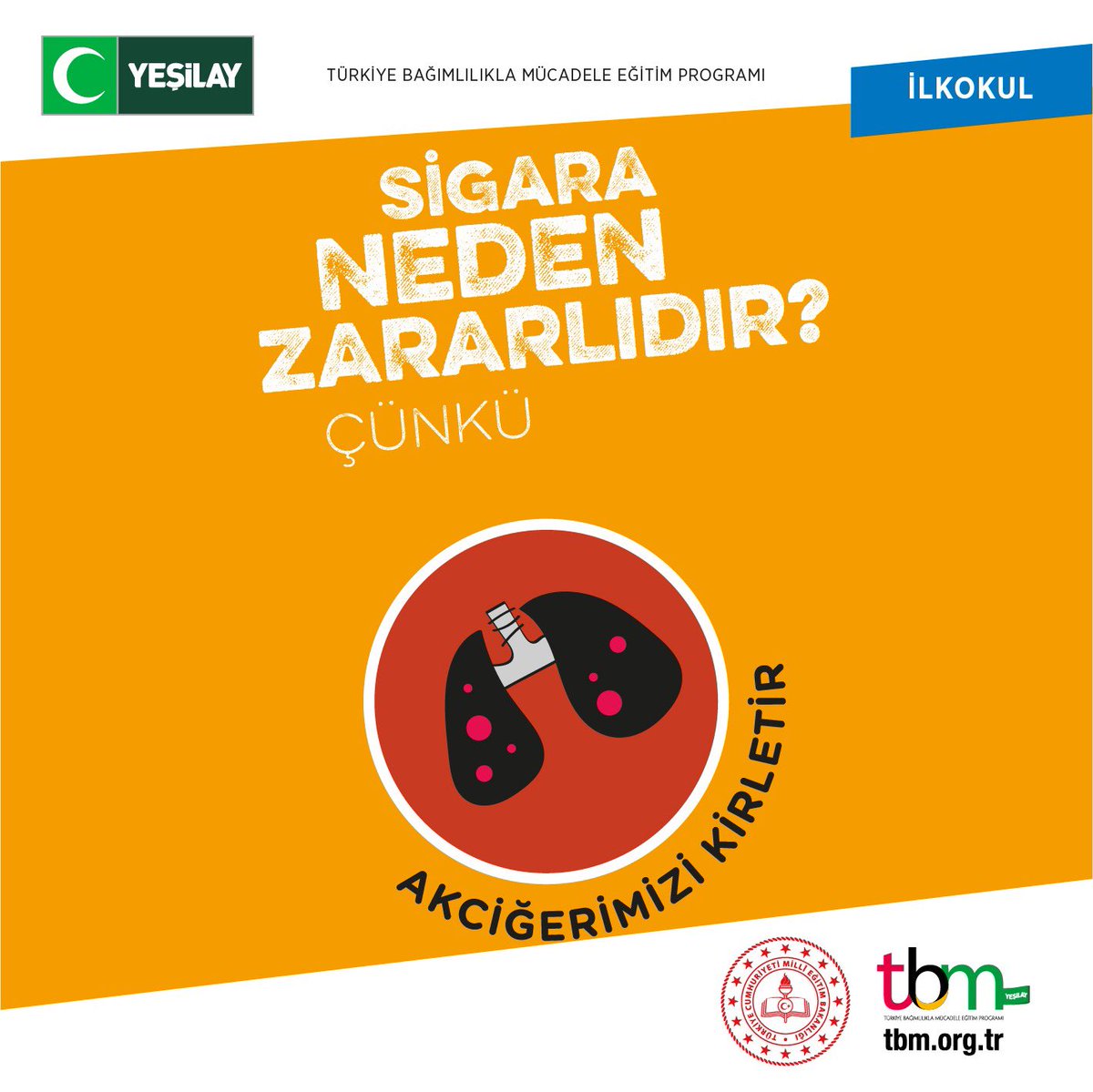 Her yaş grubuna özel eğitimler uyguladığımız Türkiye Bağımlılıkla Mücadele Eğitim Programımızın ilkokul modülünde çocuklara sigaranın zararlarını ve sağlıklı yaşamın önemini anlatıyoruz..
👉 tbm.org.tr #Yeşilay #TBM