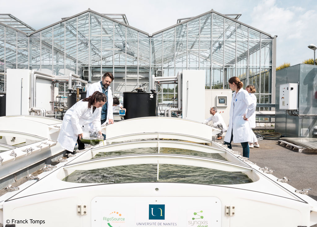 NantesUniv's tweet photo. 🧪 À Saint-Nazaire, le @LaboGEPEA révèle l'immense potentiel des microalgues. 
👉 Redécouvrez toute l'étendue des travaux des chercheurs dans le 1er numéro d'#UNBusinessNews https://t.co/5Yh2Pl4YWy https://t.co/SPyp5K1KsO