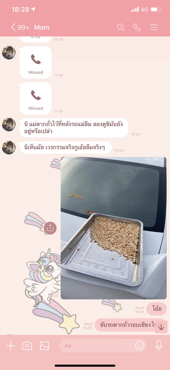 ฉันที่ขับรถทั่วเชียงใหม่โดยมีถาดถั่วของแม่ตากอยู่หลังรถ แม๊!!! ขำไม่ไหวแล้ว